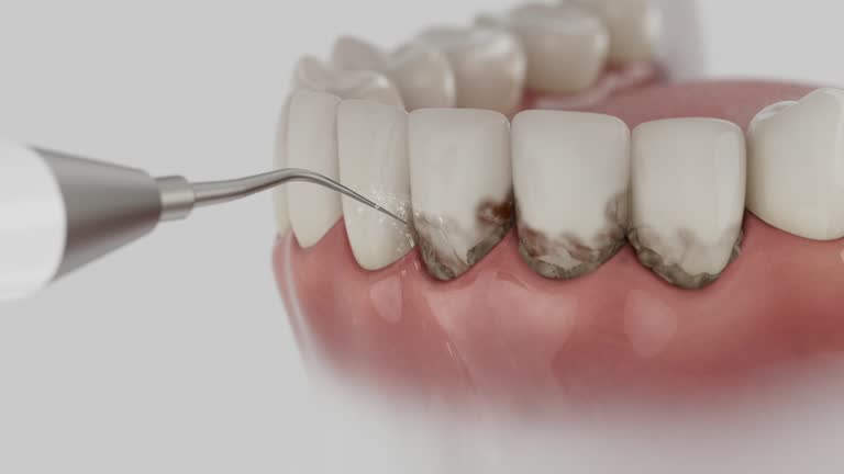 Reliable Dental contractor in Wesleyville, PA by Dentist Open Now